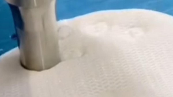 34 34