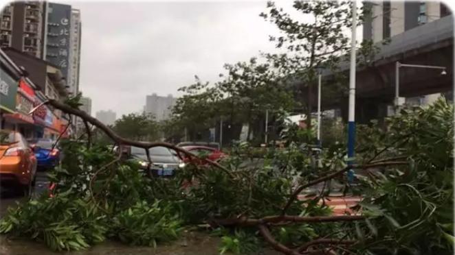 珠海台风灾害 珠海台风灾害