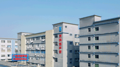 灵科超声波：共舞职场新生态，赋能员工价值成长